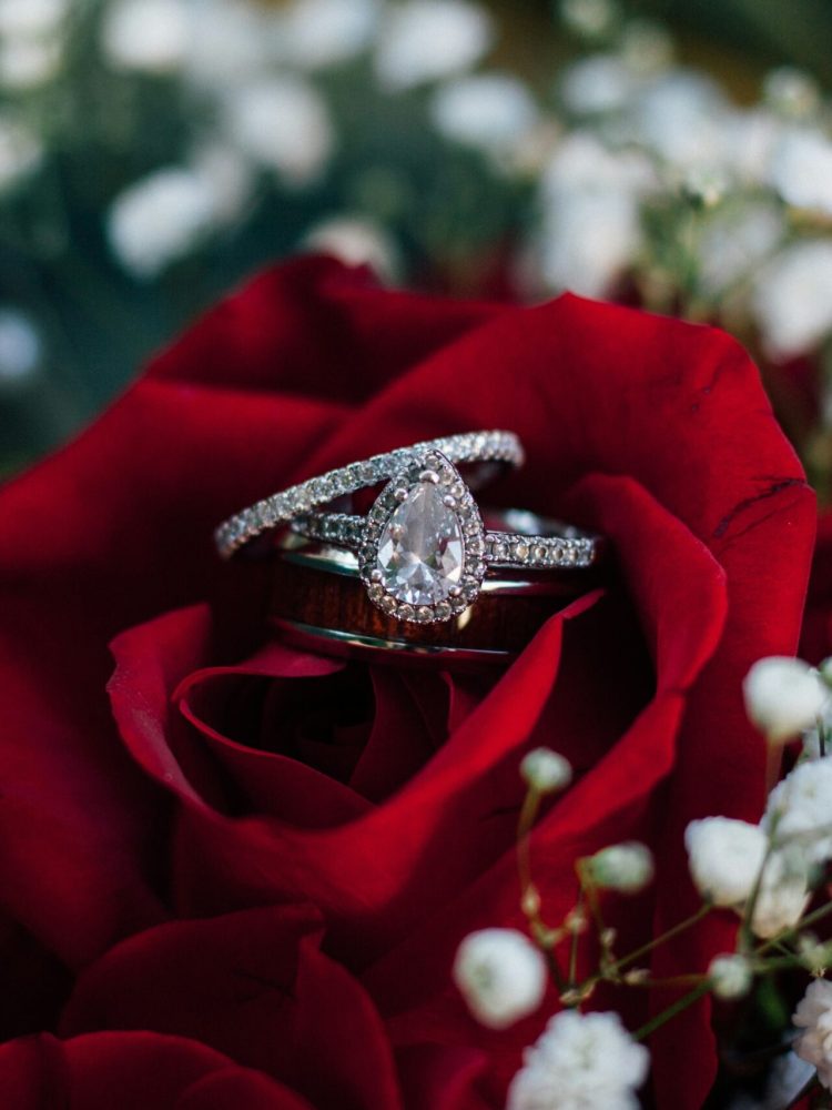 kimberly-fowler-M1KfuZ-2Vjs-unsplash